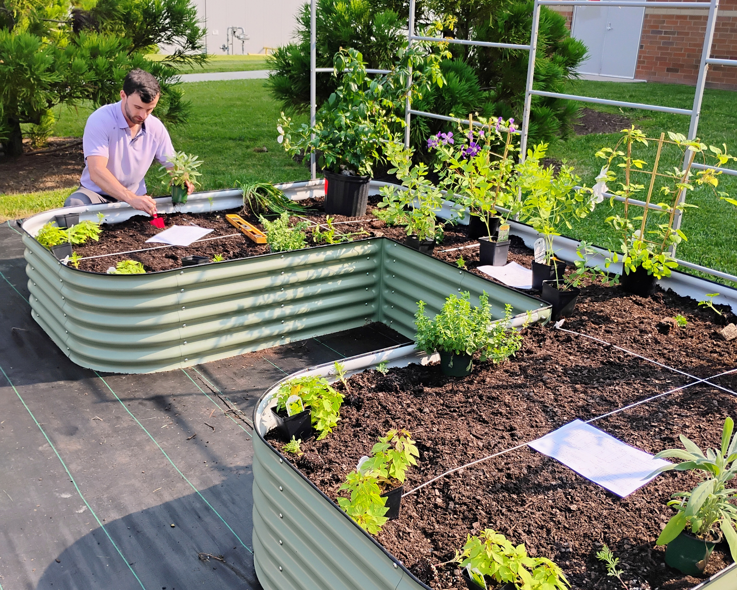 man planting plants in a raised garden bed