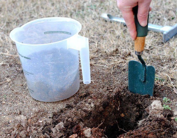 soil, shovel, container